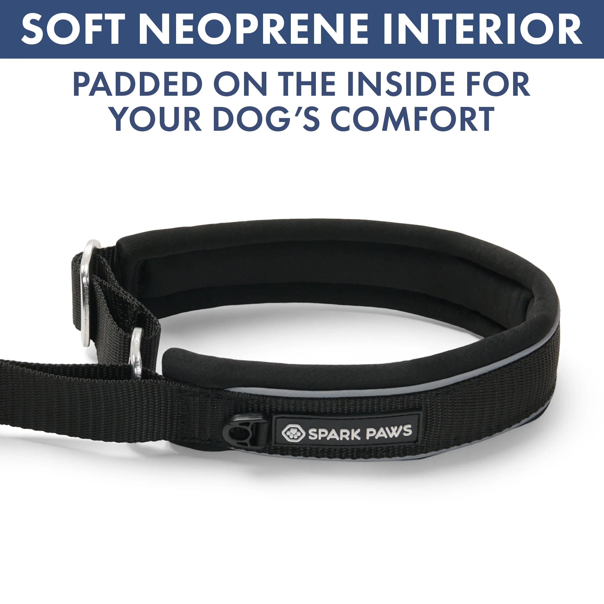 Martingale Collar Set - Black - Image 6