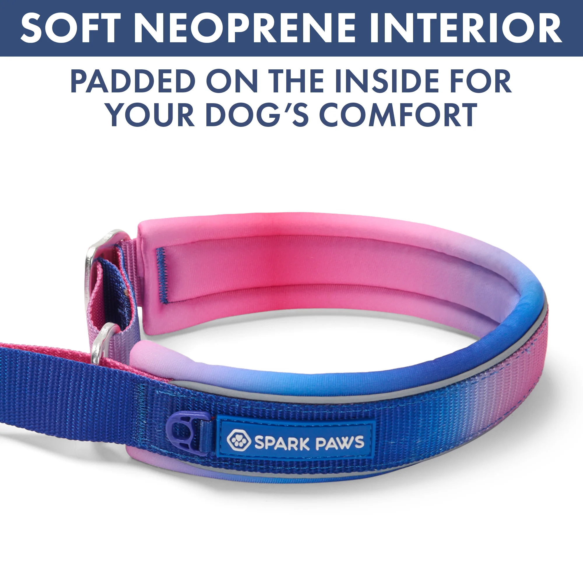 Martingale Collar Set - Snow Cone - Image 6