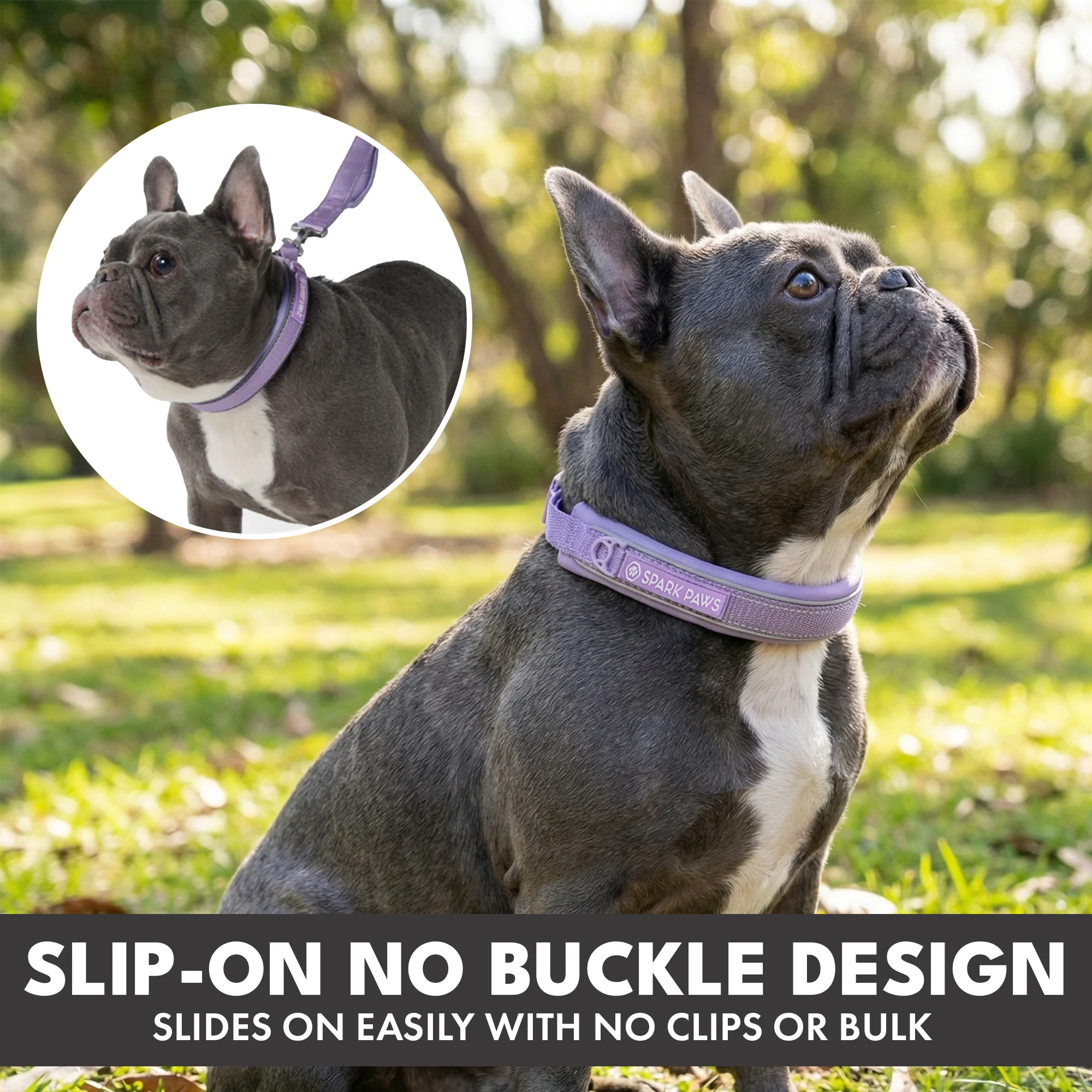 Martingale Collar Set - Lilac - Image 4