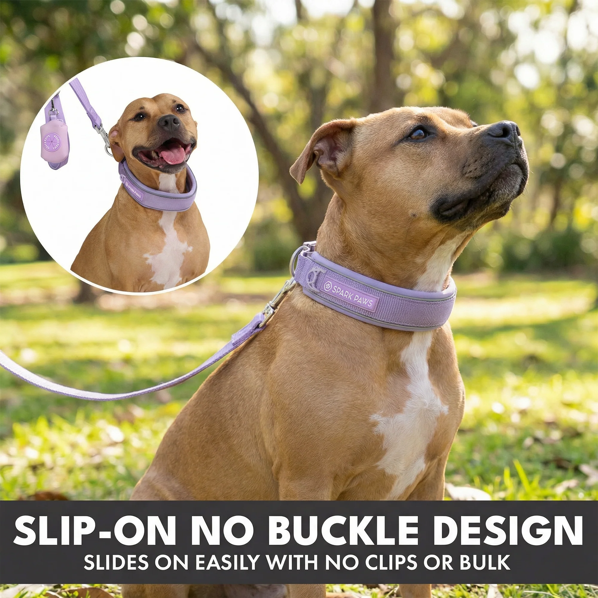 Martingale Collar Set - Lilac - Image 5