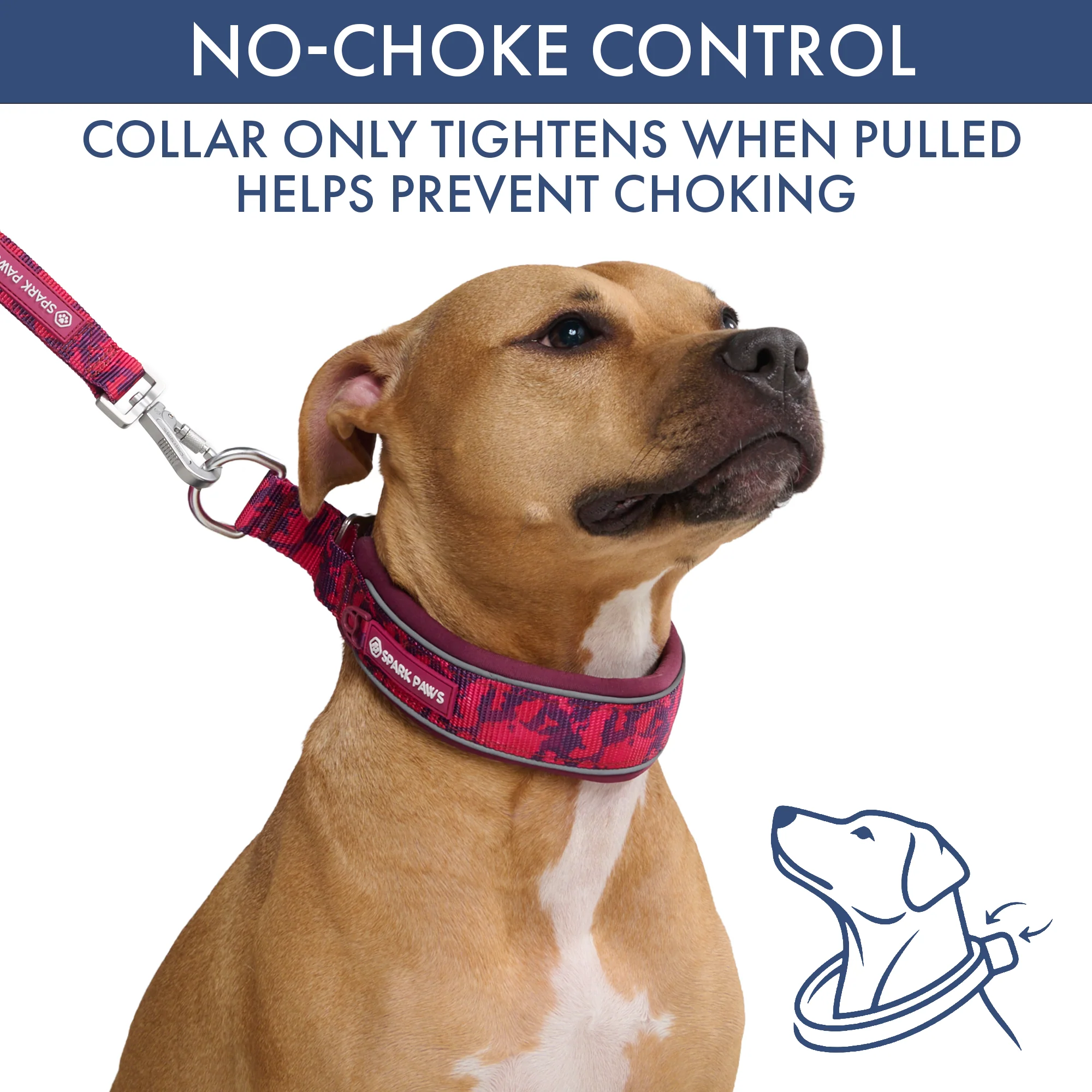 Martingale Collar Set - Fuchsia Camo - Image 3