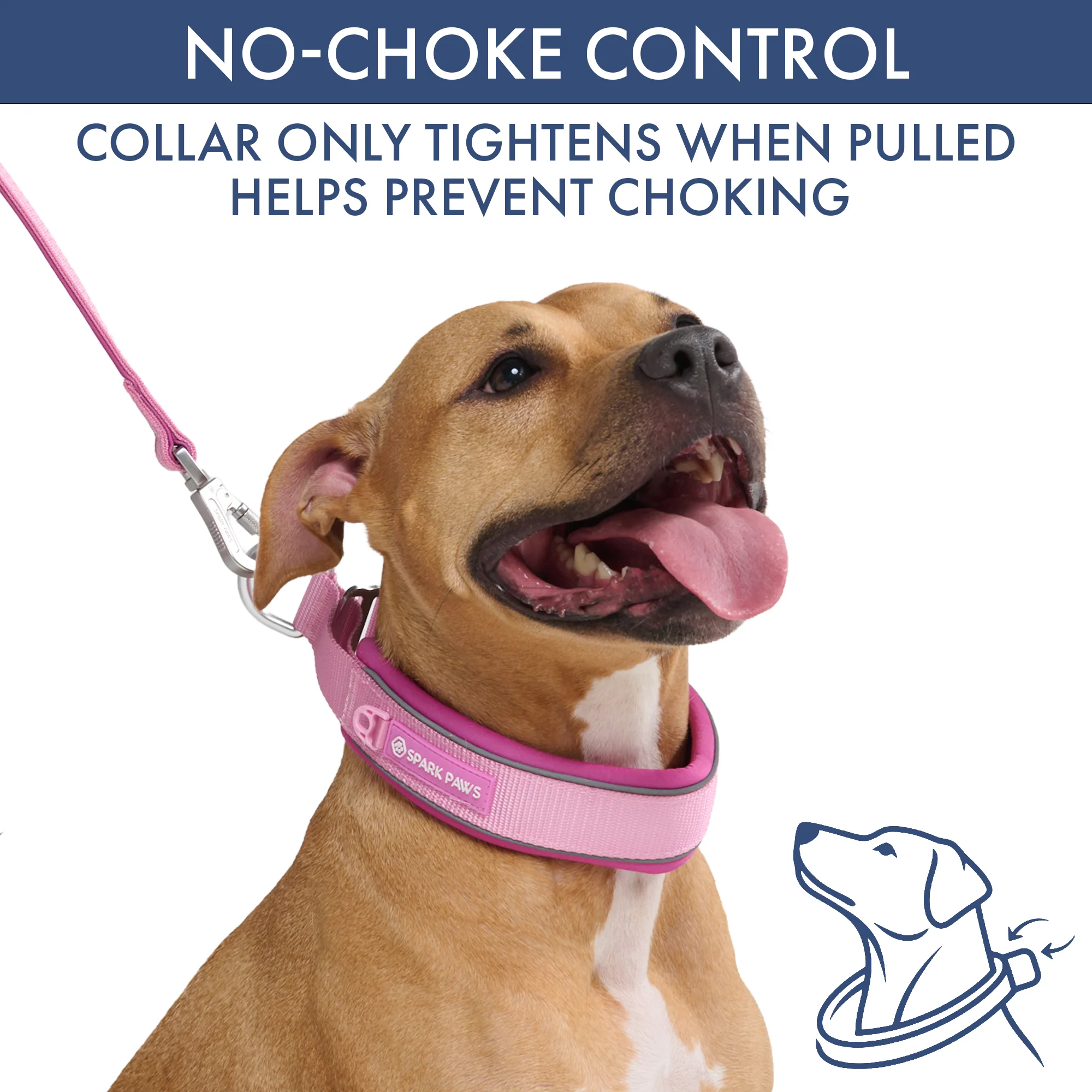 Martingale Collar Set - Pink - Image 3