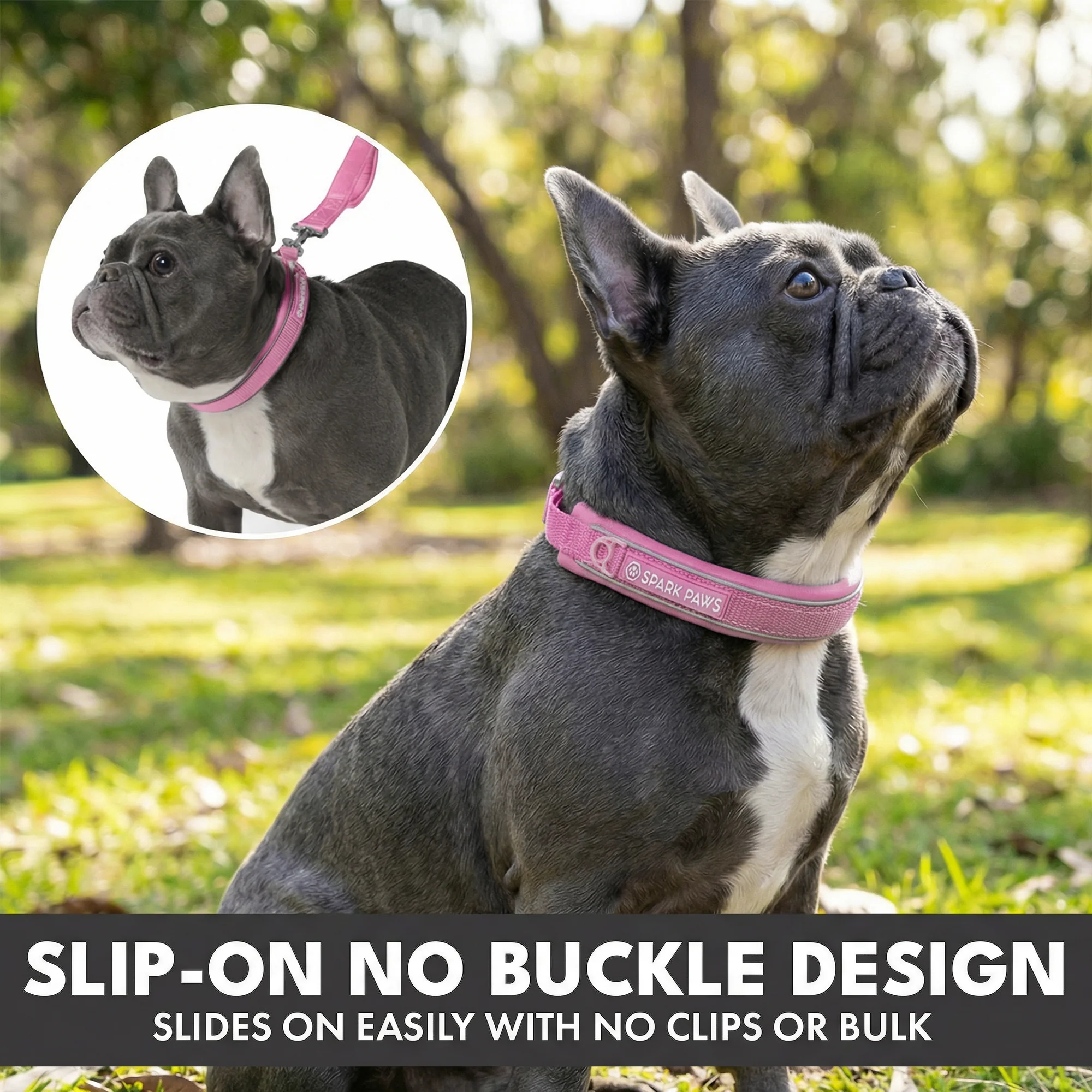 Martingale Collar Set - Pink - Image 4