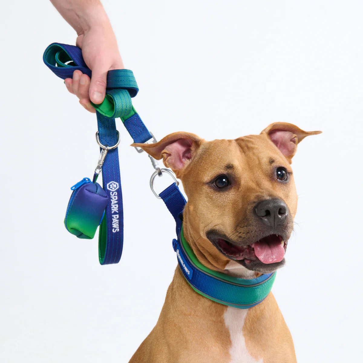 Cushioned Martingale Collar - Lime Wave - Image 10