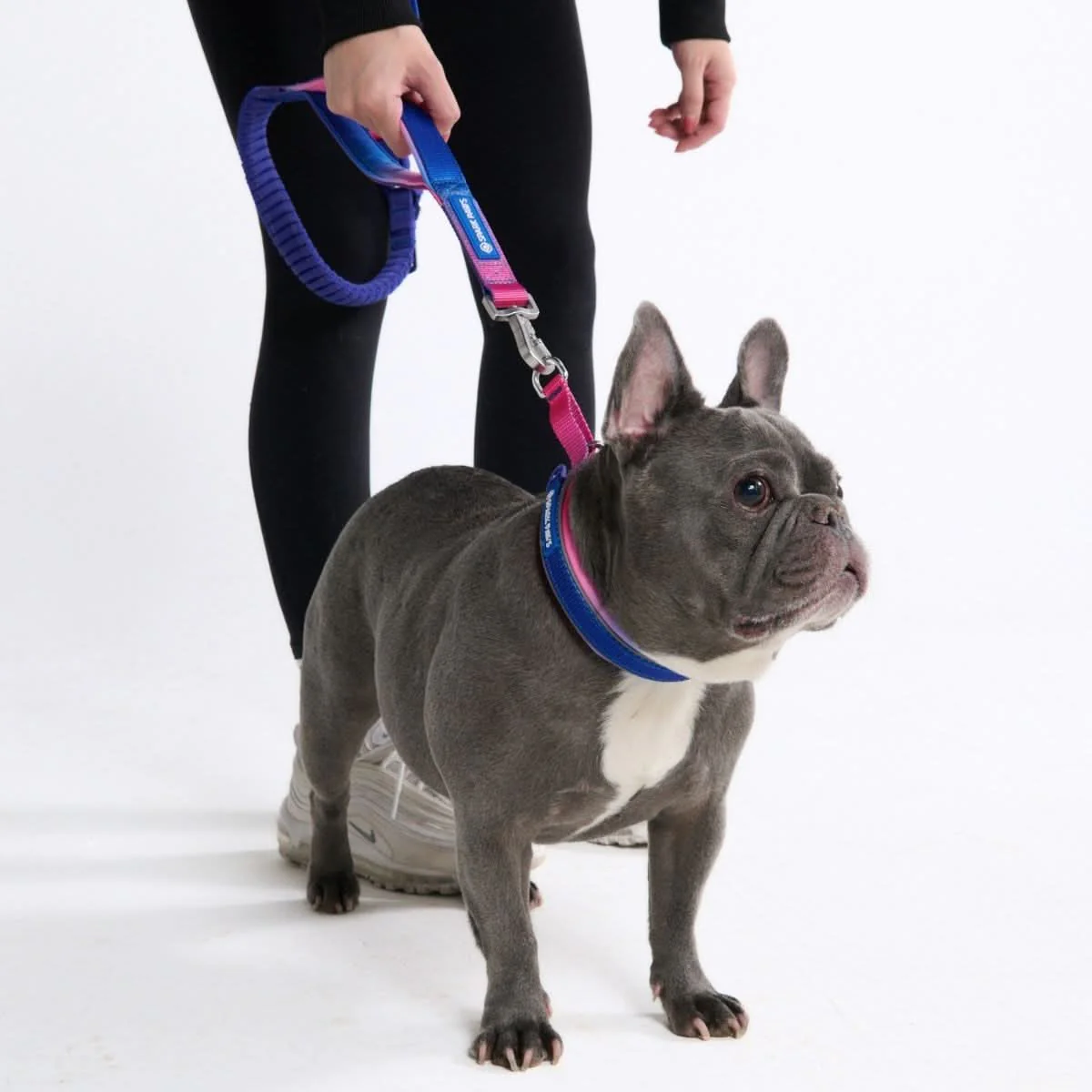 Cushioned Martingale Collar - Snow Cone - Image 5