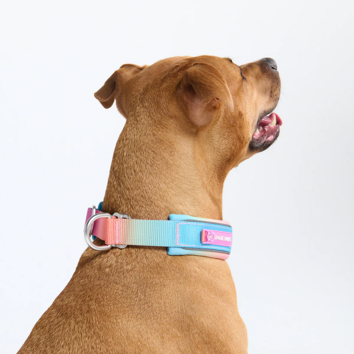 Cushioned Martingale Collars - Image 19