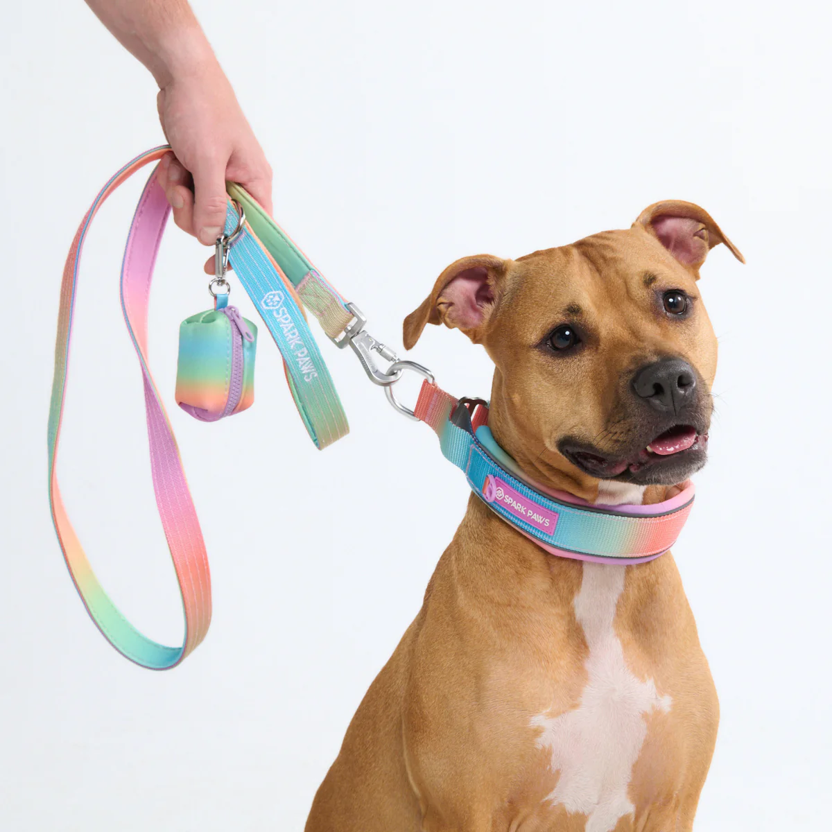 Cushioned Martingale Collars - Image 20