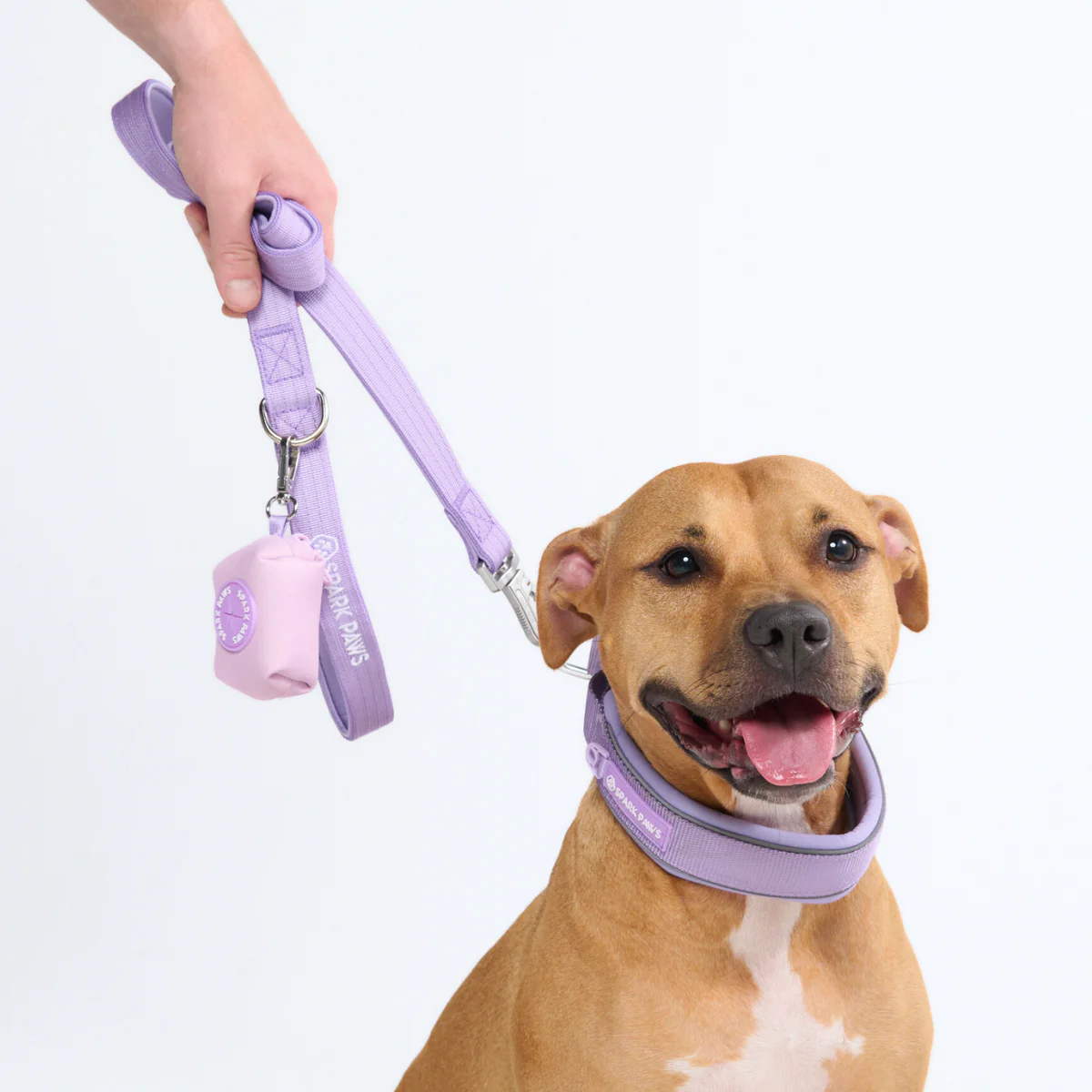 Cushioned Martingale Collars - Image 73