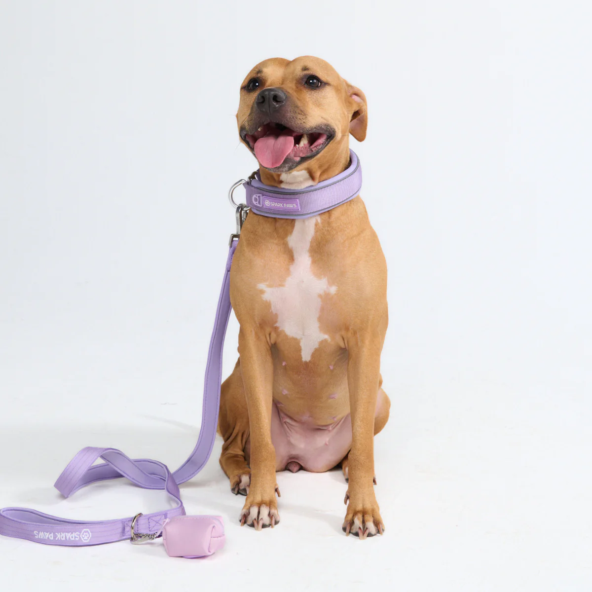 Cushioned Martingale Collars - Image 75