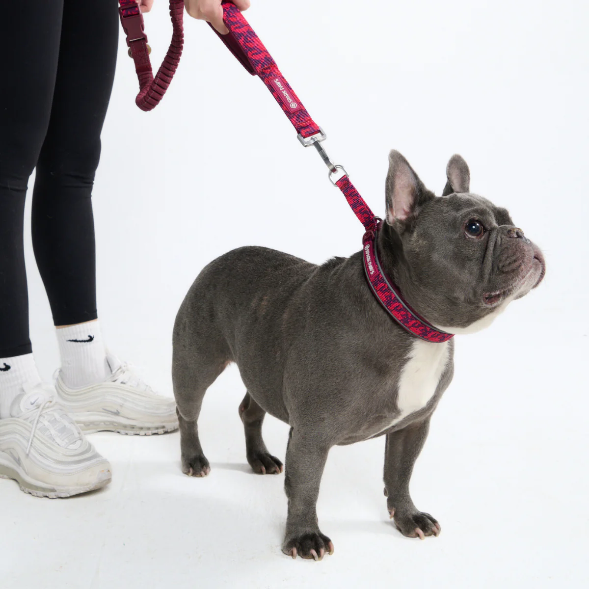 Cushioned Martingale Collars - Image 81