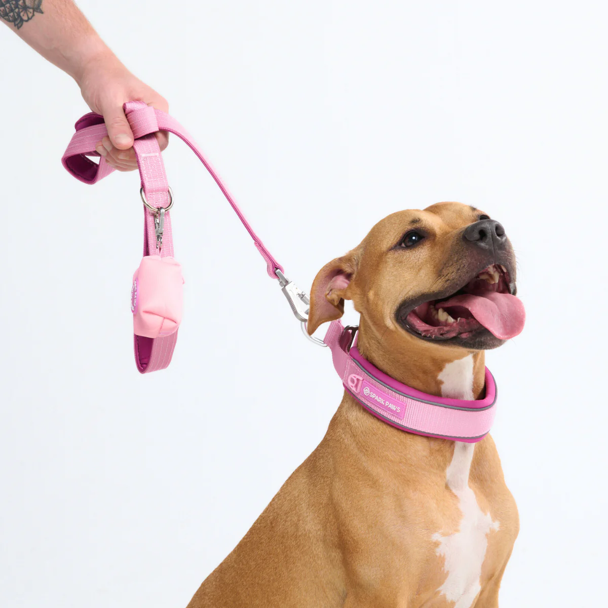 Cushioned Martingale Collars - Image 95
