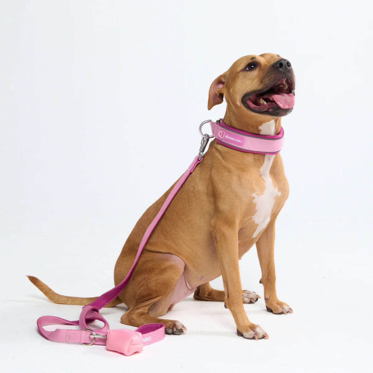 Cushioned Martingale Collars - Image 96