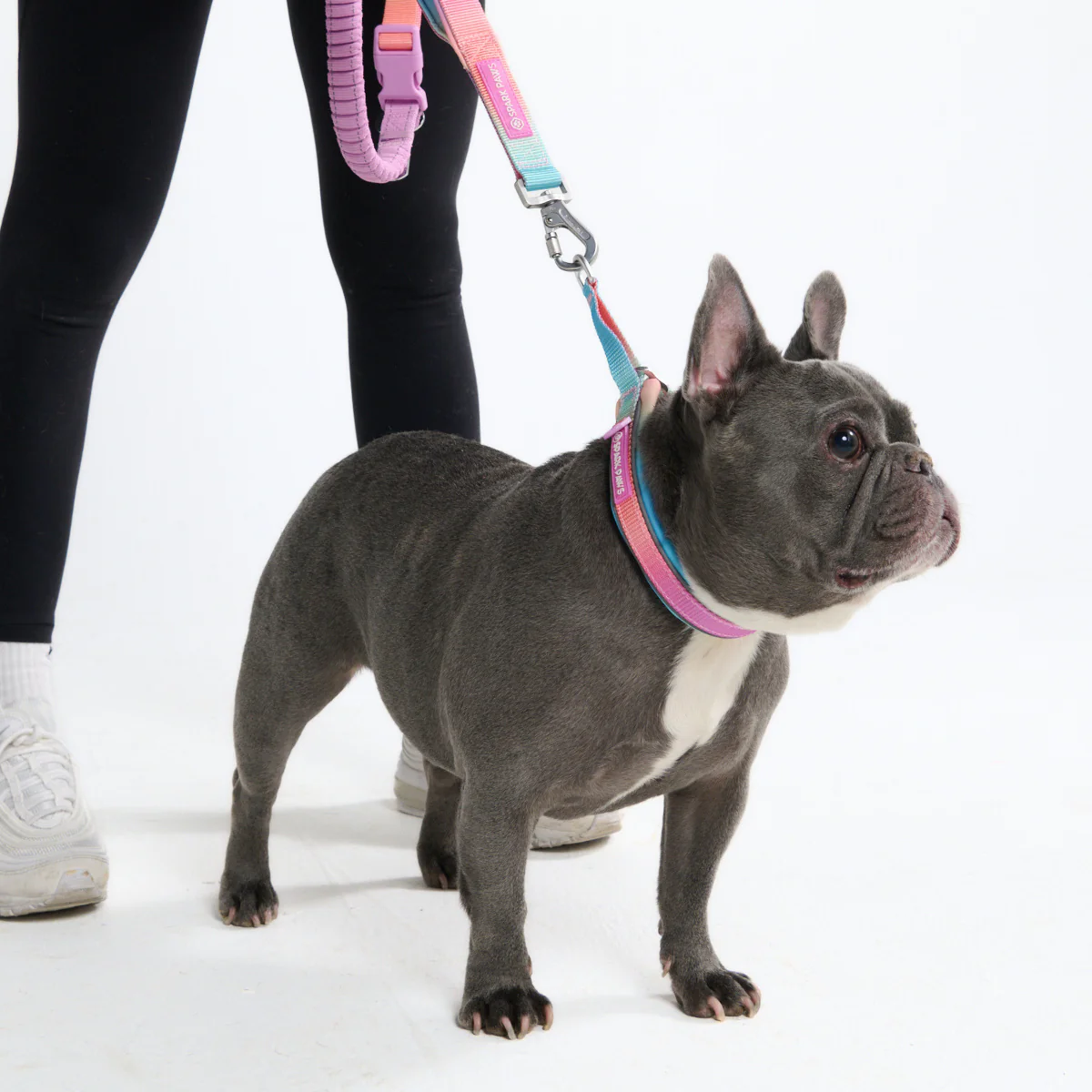 Multipurpose Seatbelt Handsfree Leash & Poop Bag Holder Set - Image 16