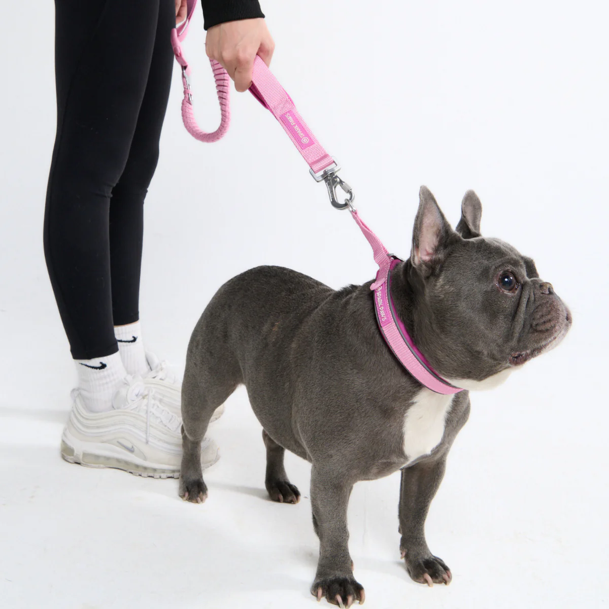 Multipurpose Seatbelt Handsfree Leash & Poop Bag Holder Set - Image 69