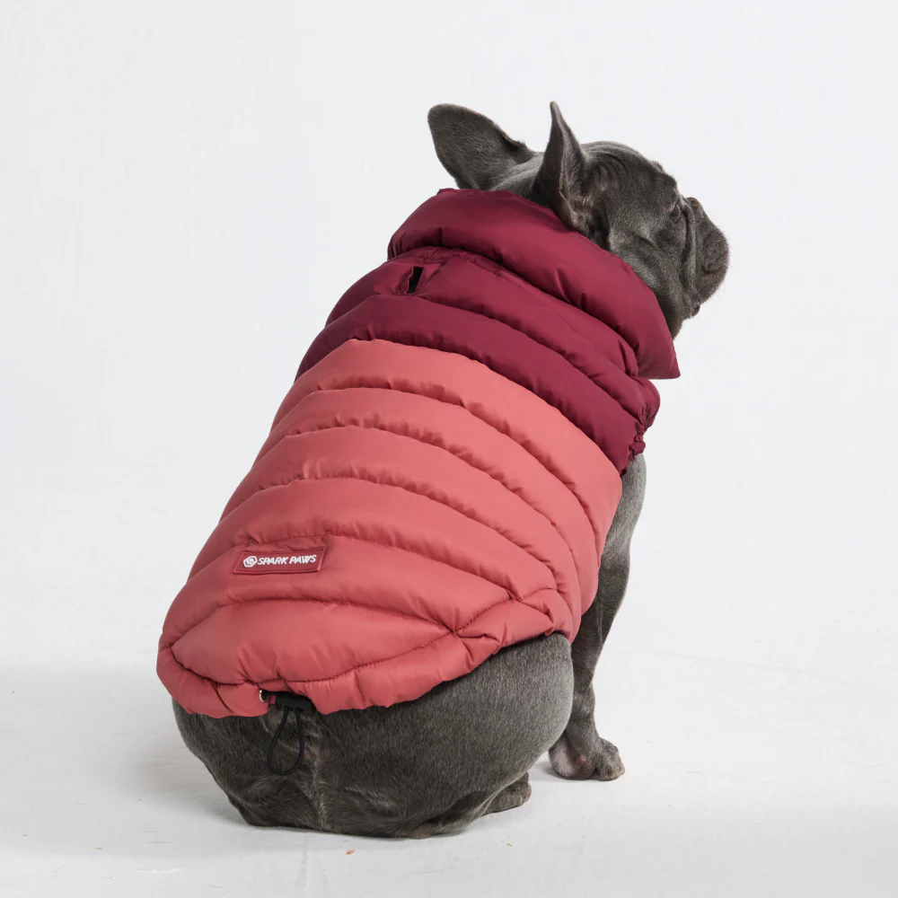 PuffShield Winter Jackets - Image 12