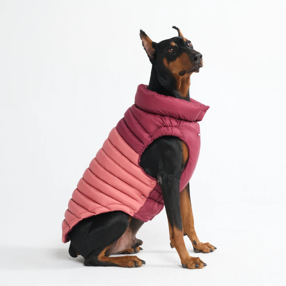 PuffShield Winter Jackets - Image 14