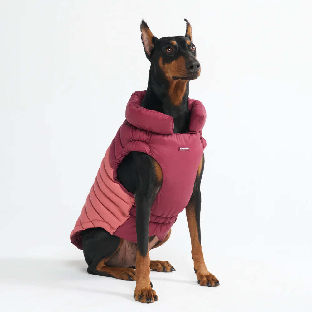 PuffShield Winter Jackets - Image 20