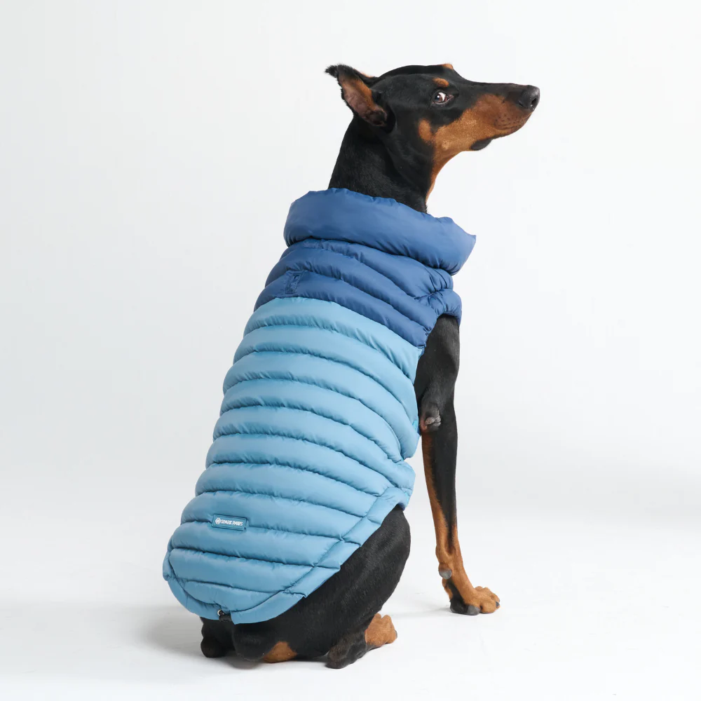 PuffShield Winter Jackets - Image 21