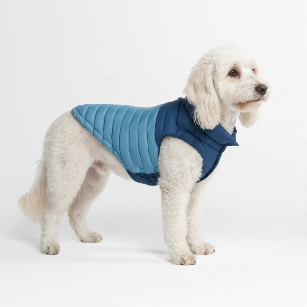 PuffShield Winter Jackets - Image 24
