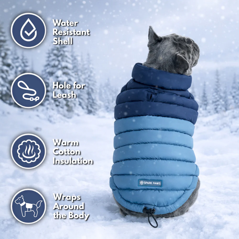 PuffShield Winter Jackets - Image 28