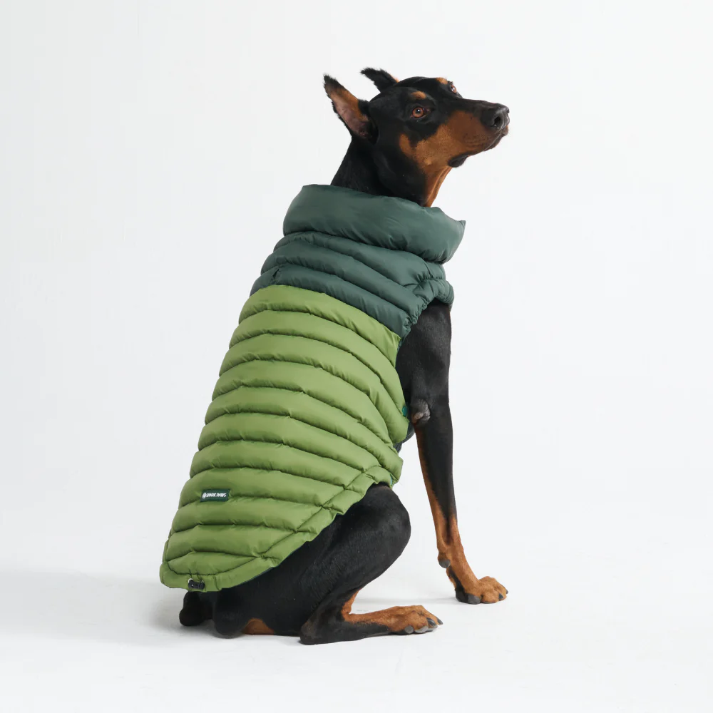 PuffShield Winter Jackets - Image 34