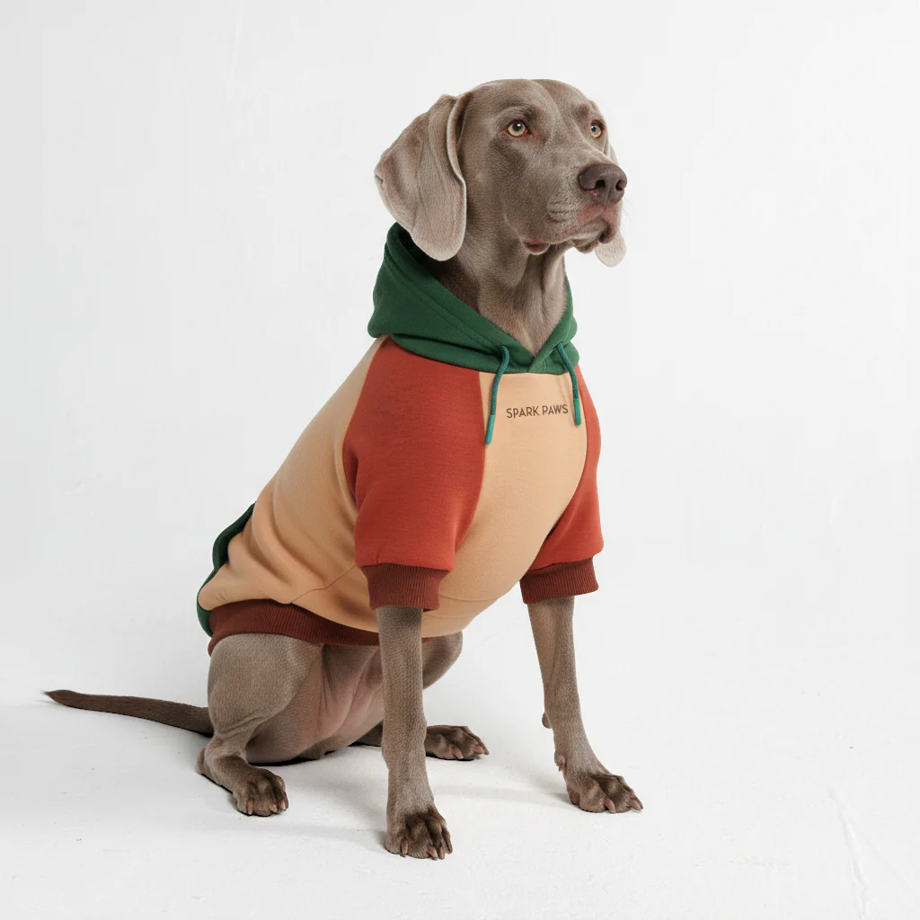 Color Block Dog Hoodies - Image 43
