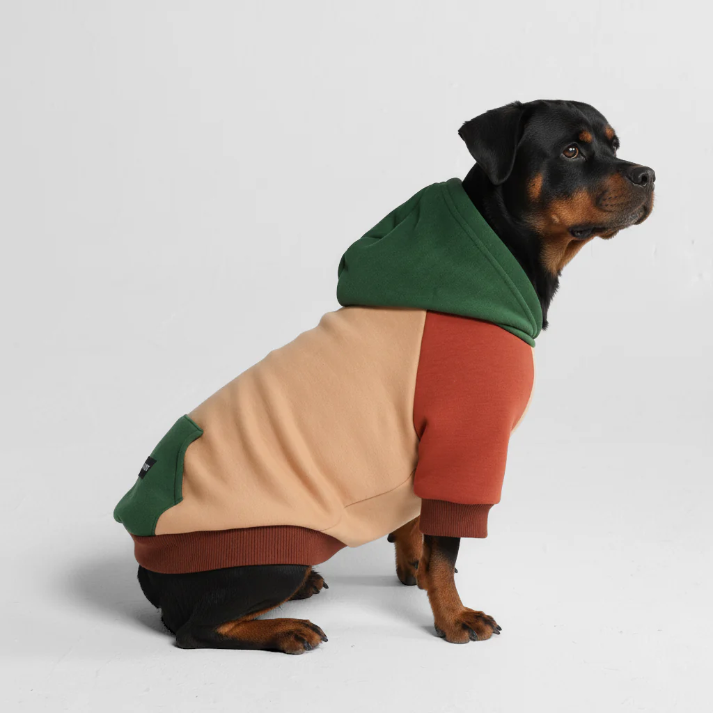 Ranger Dog Hoodie - Image 8