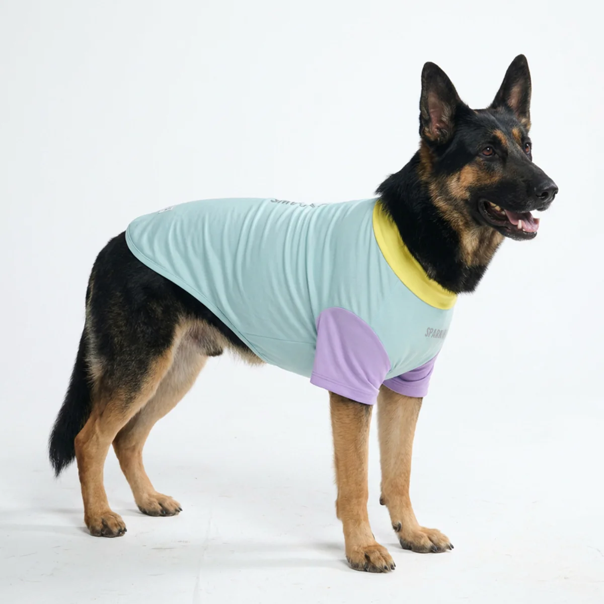Sunblock Dog T-Shirt - Color Block - Image 12