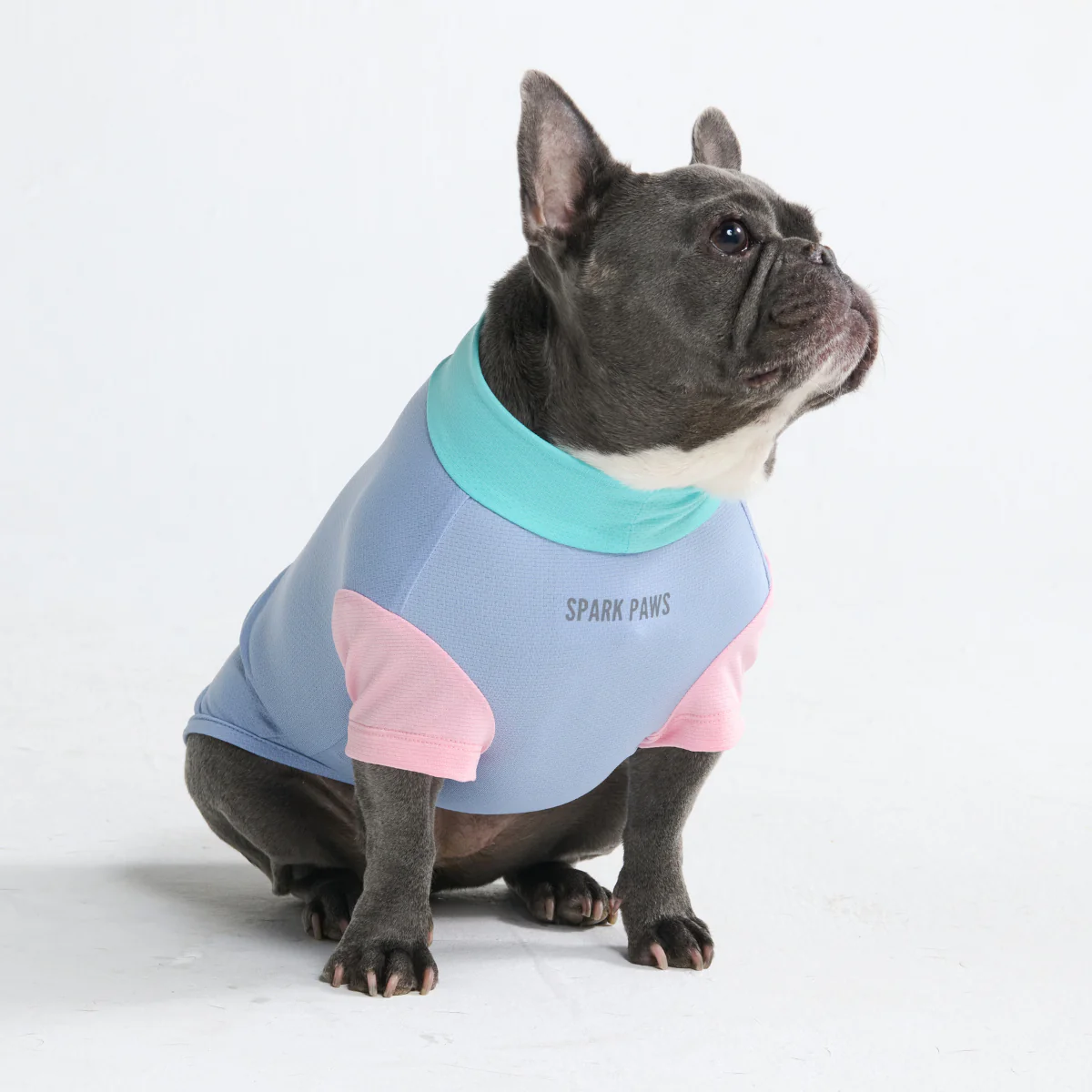 Sunblock Dog T-Shirt - Color Block - Image 22