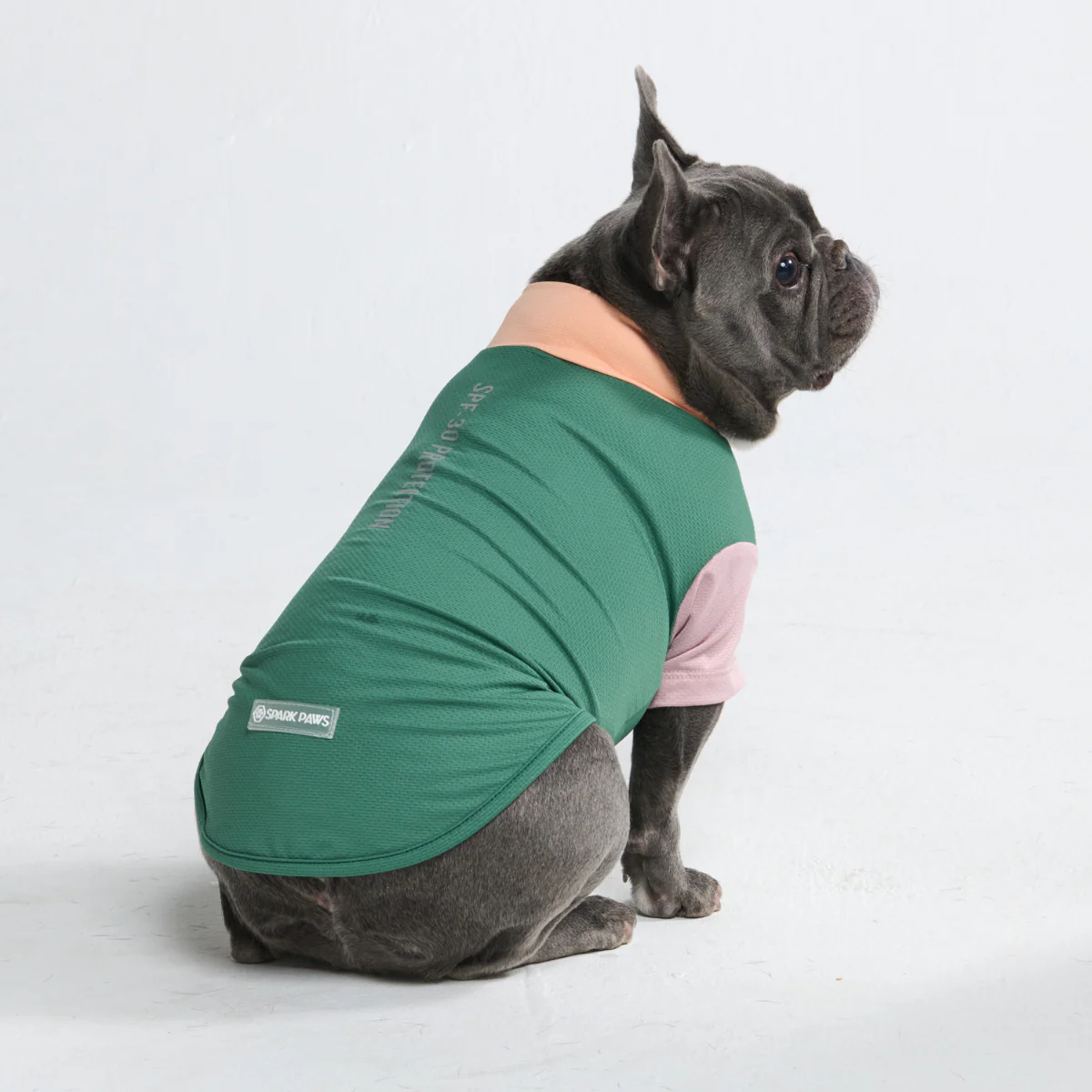 Sunblock Dog T-Shirt - Color Block - Image 27