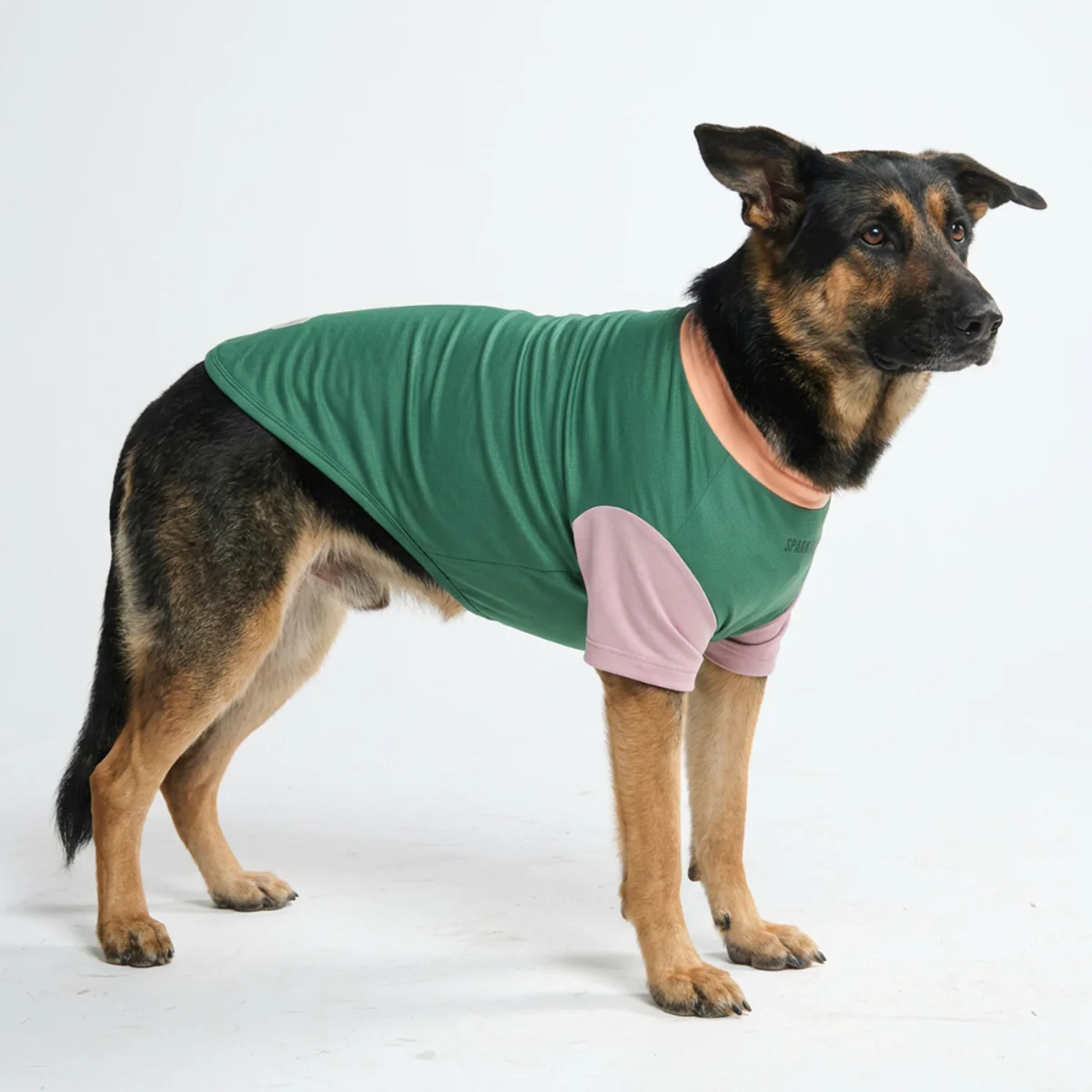 Sunblock Dog T-Shirt - Color Block - Image 28