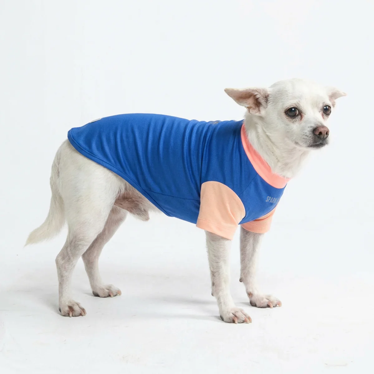 Sunblock Dog T-Shirt - Color Block - Image 33