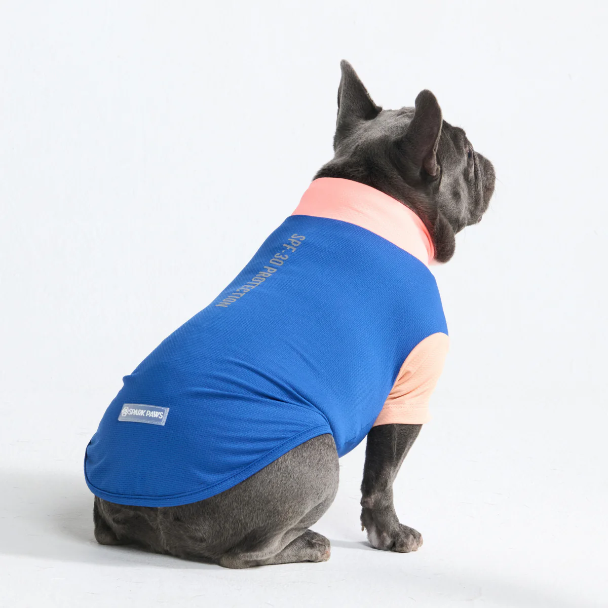 Sunblock Dog T-Shirt - Color Block - Image 35