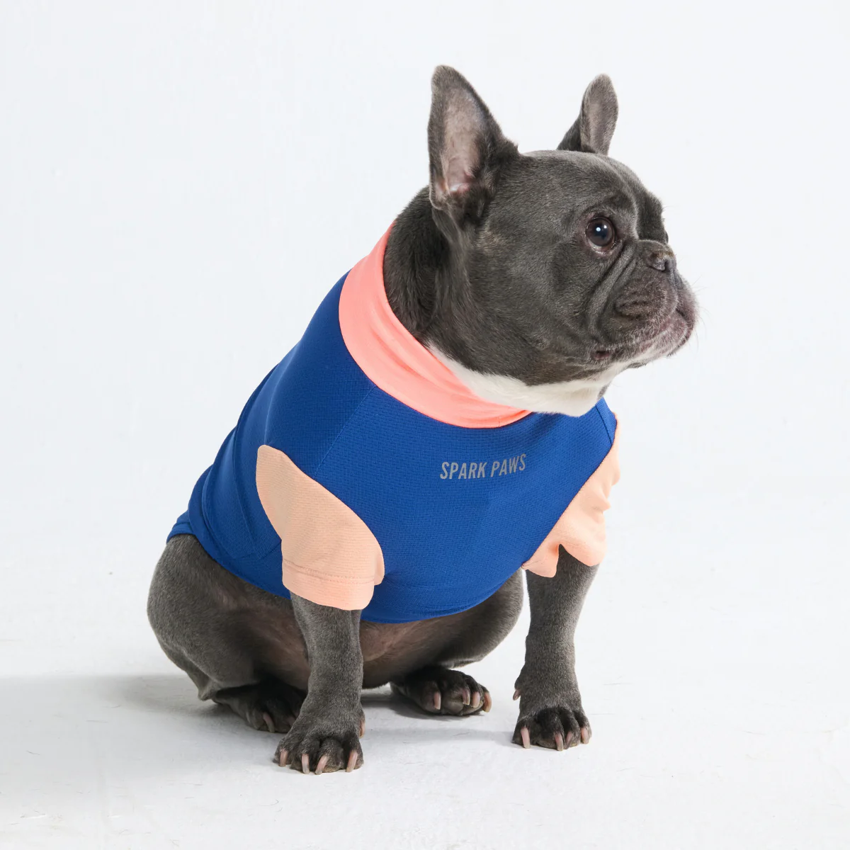 Sunblock Dog T-Shirt - Color Block - Image 38