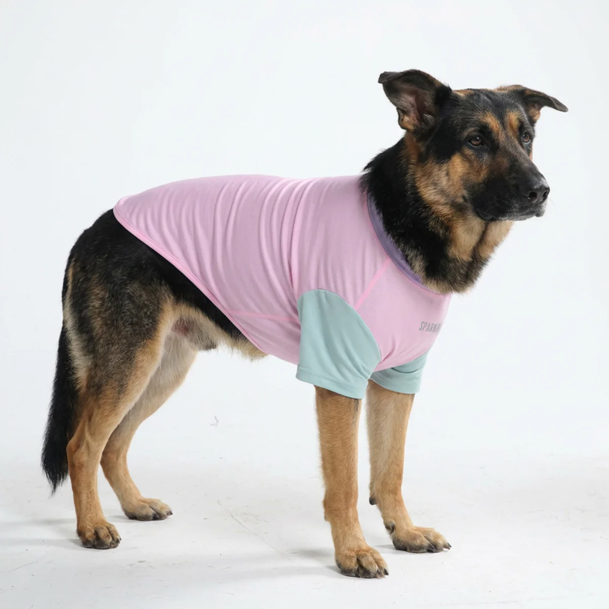 Sunblock Dog T-Shirt - Color Block - Image 4
