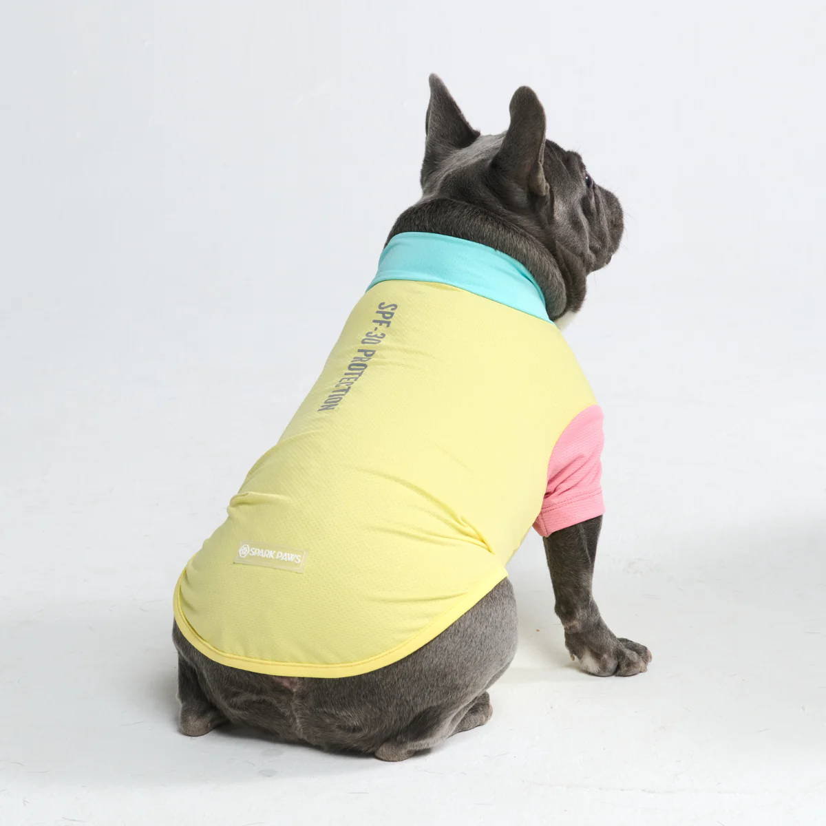 Sunblock Dog T-Shirt - Color Block - Image 43