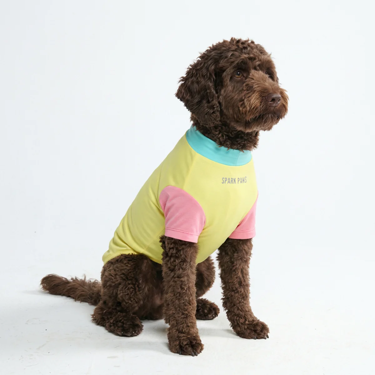 Sunblock Dog T-Shirt - Color Block - Image 44