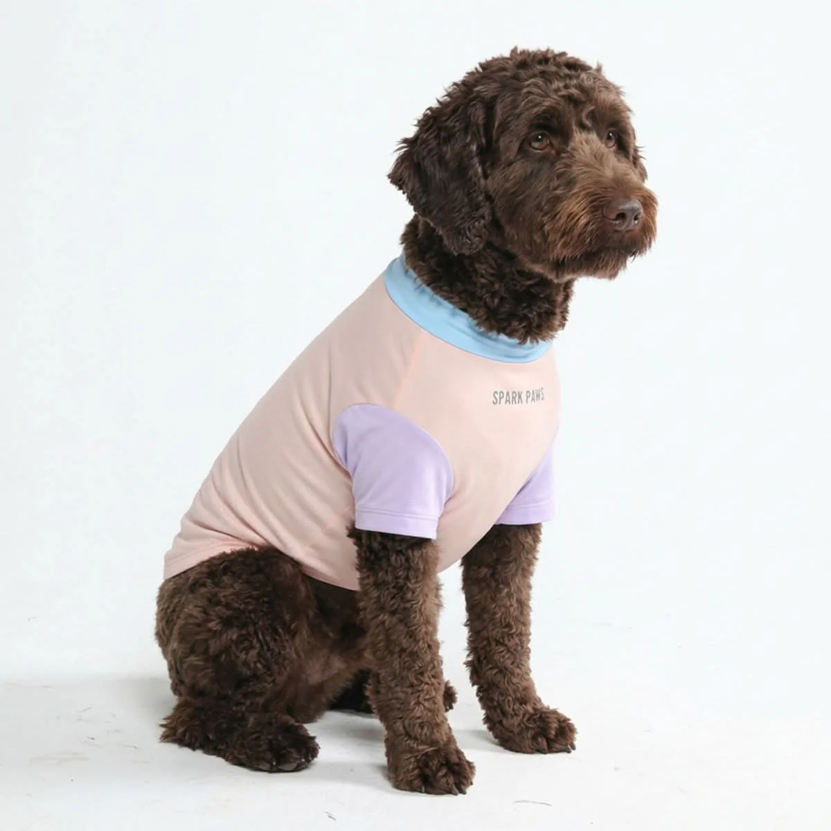 Sunblock Dog T-Shirt - Color Block - Image 50