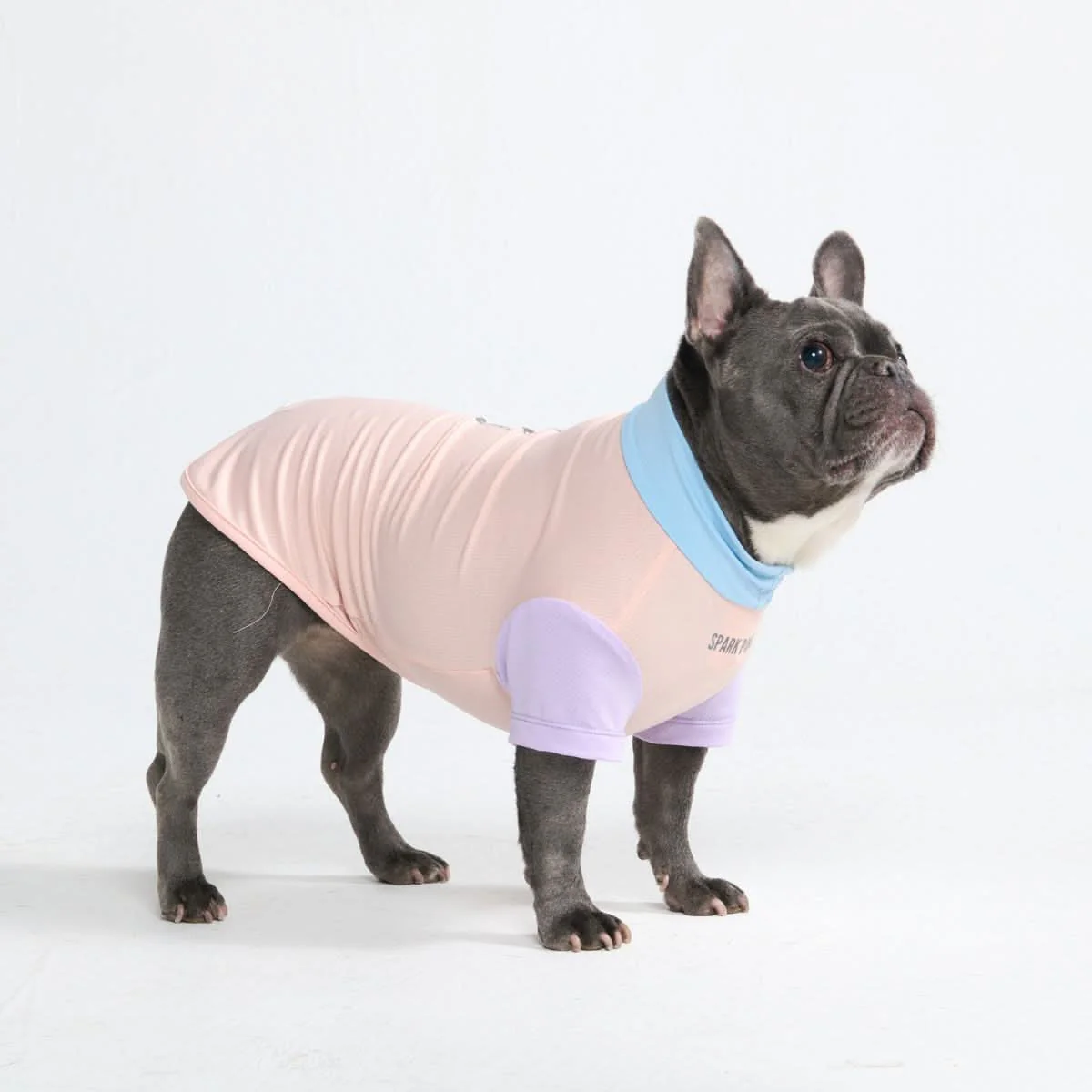Sunblock Dog T-Shirt - Color Block - Image 53