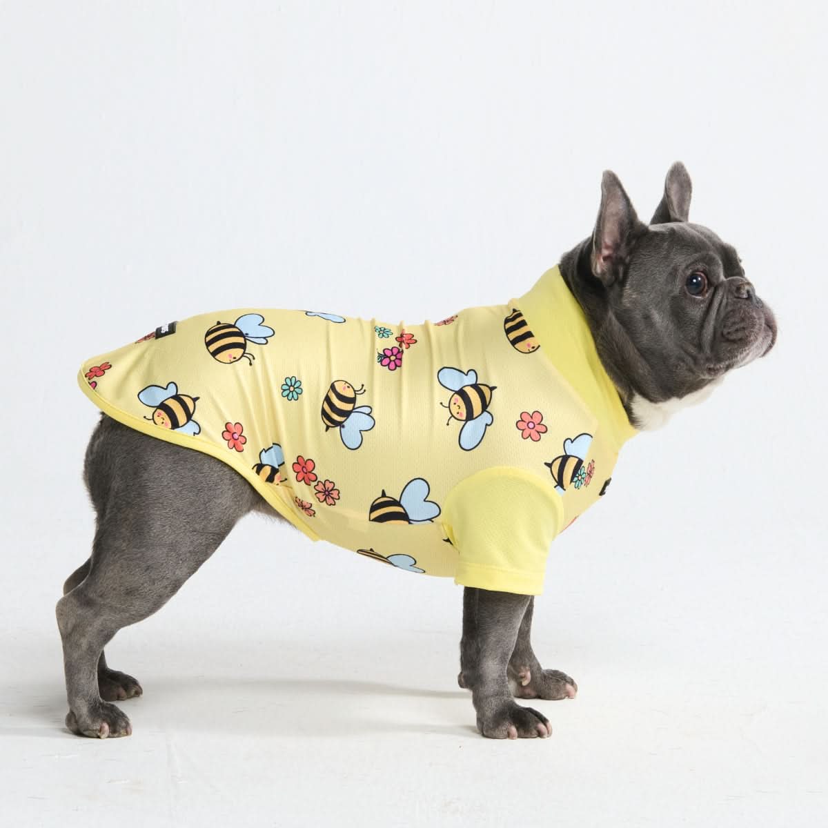 Sunblock Dog T-Shirt - Prints - Image 5