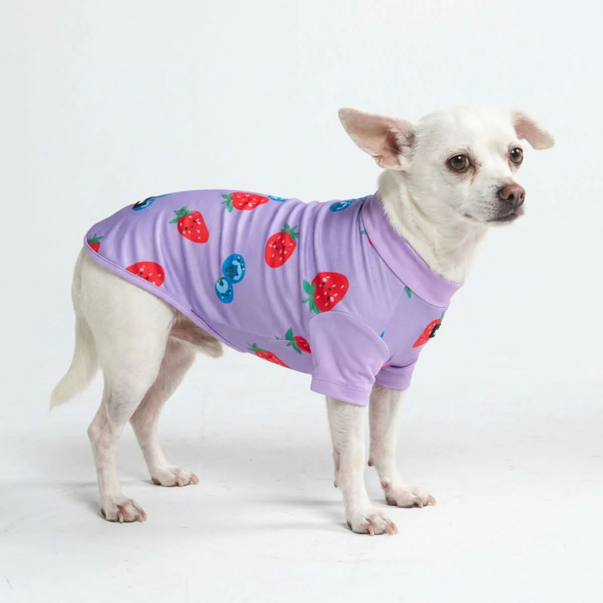 Sunblock Dog T-Shirt - Prints - Image 26