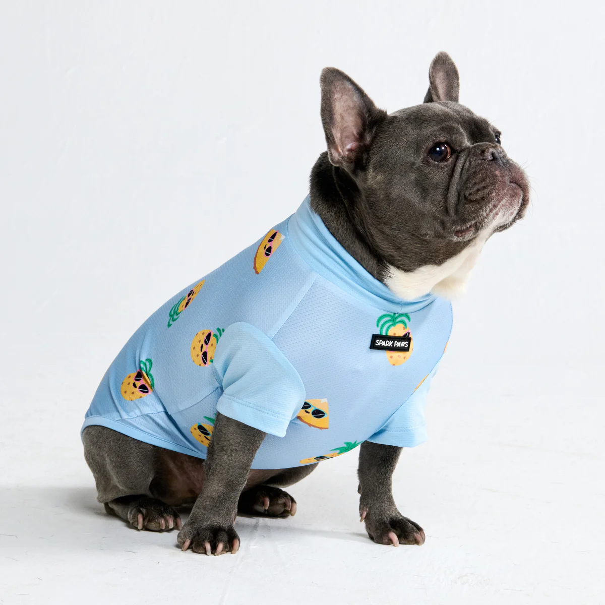 Sunblock Dog T-Shirt - Prints - Image 22