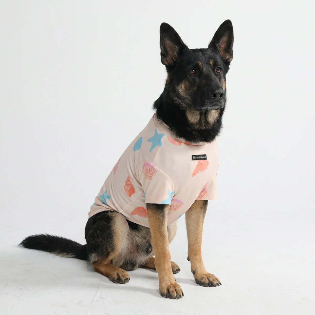 Sunblock Dog T-Shirt - Prints - Image 42
