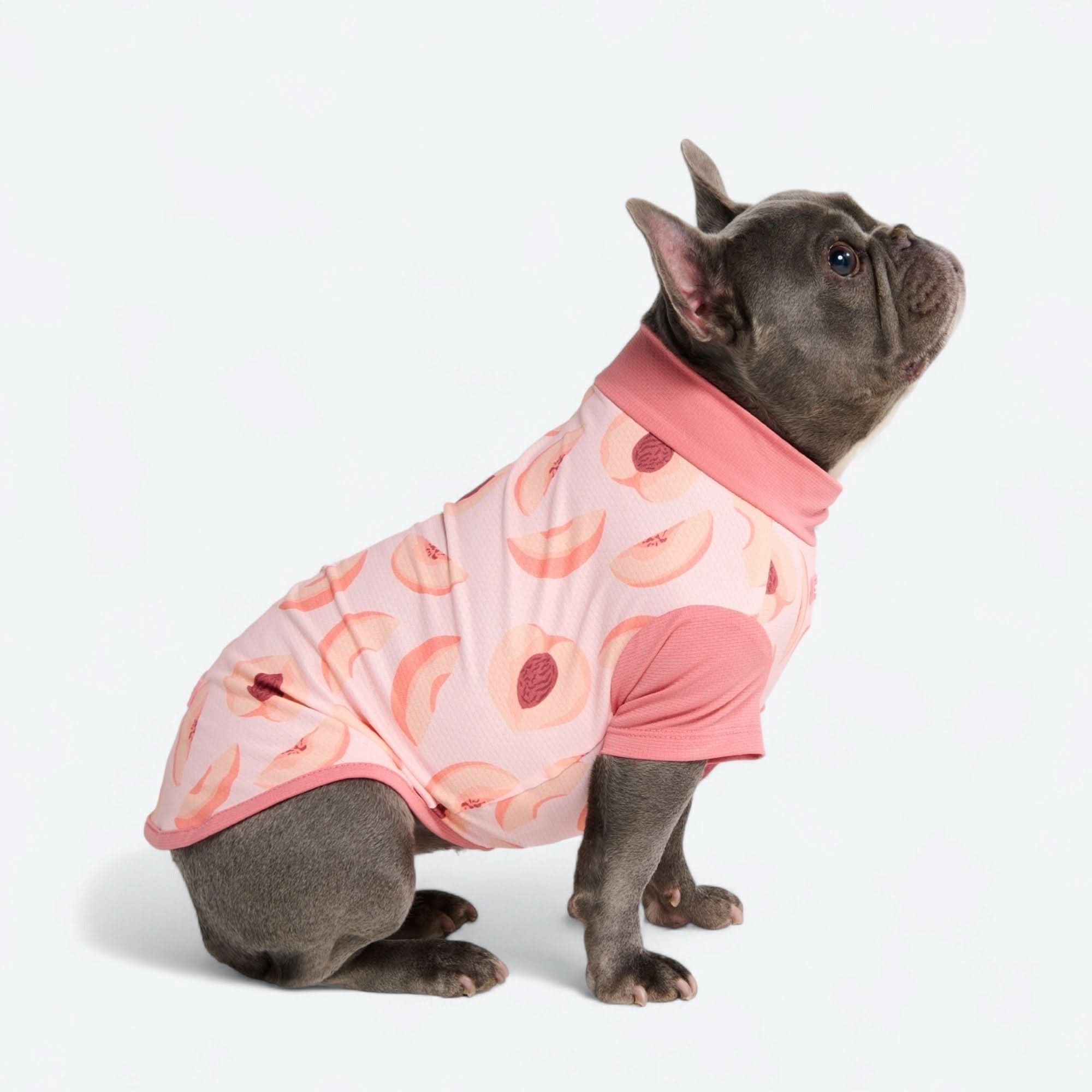 Sunblock Dog T-Shirt - Prints - Image 51