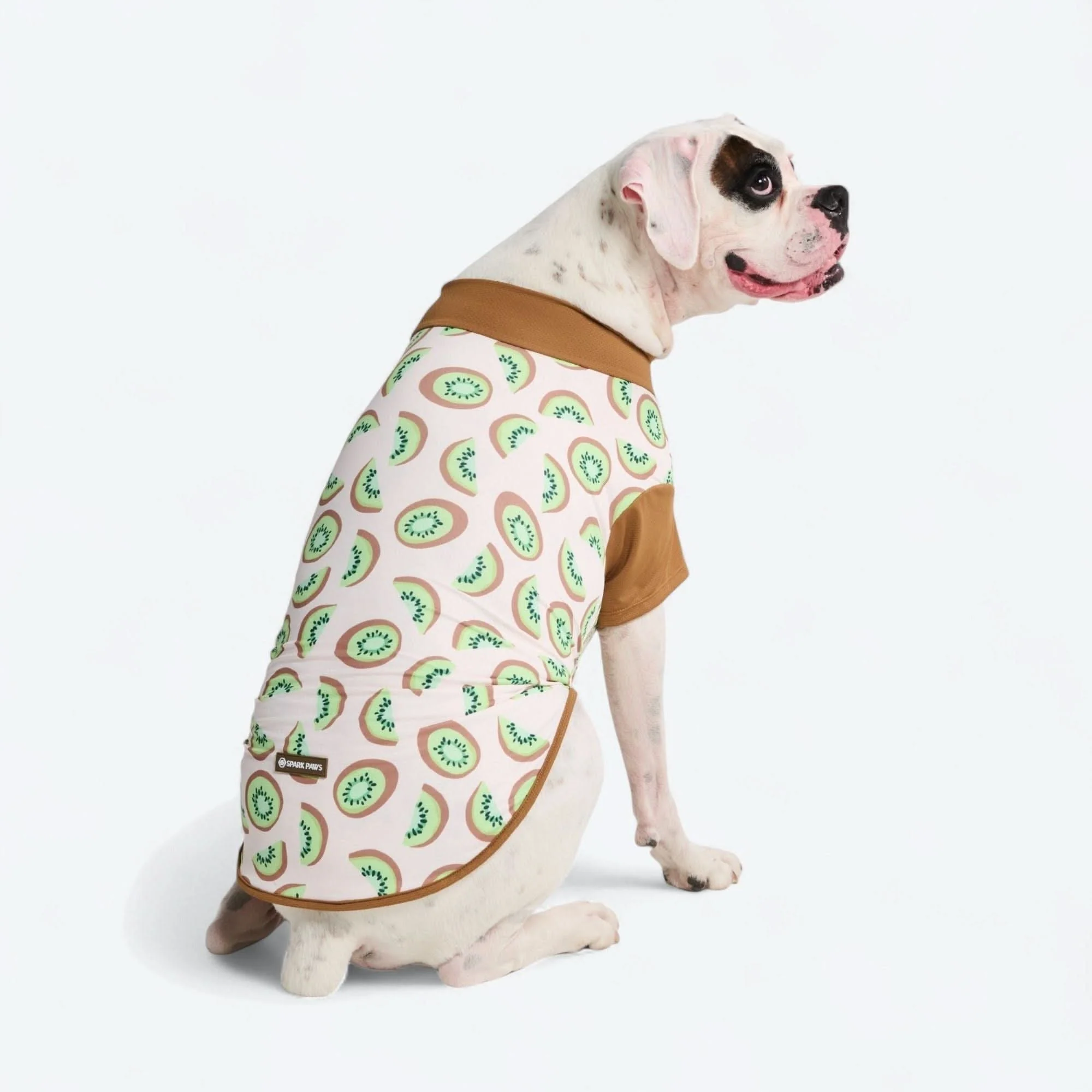 Sunblock Dog T-Shirt - Prints - Image 58