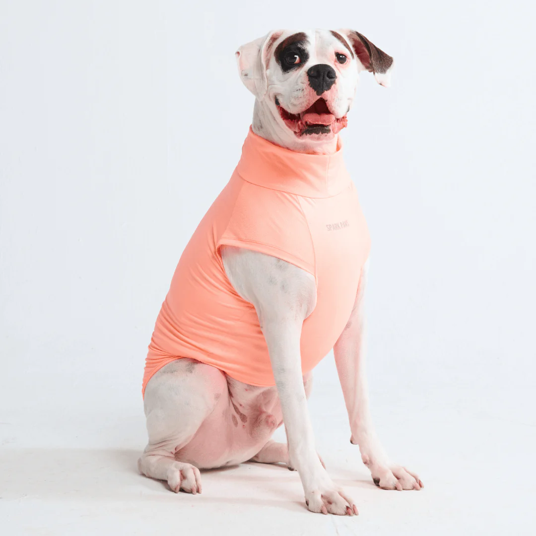 Sunblock Dog T-Shirts - Image 26