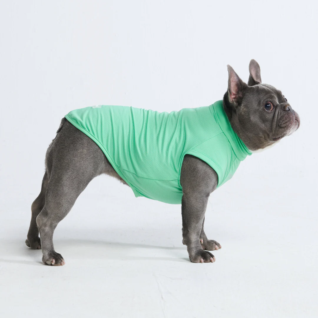 Sunblock Dog T-Shirts - Image 32