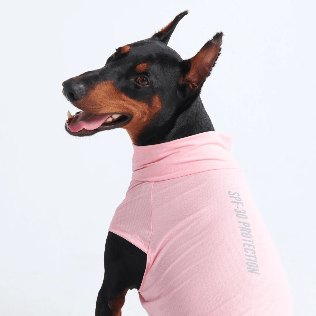 Sunblock Dog T-Shirts - Image 9