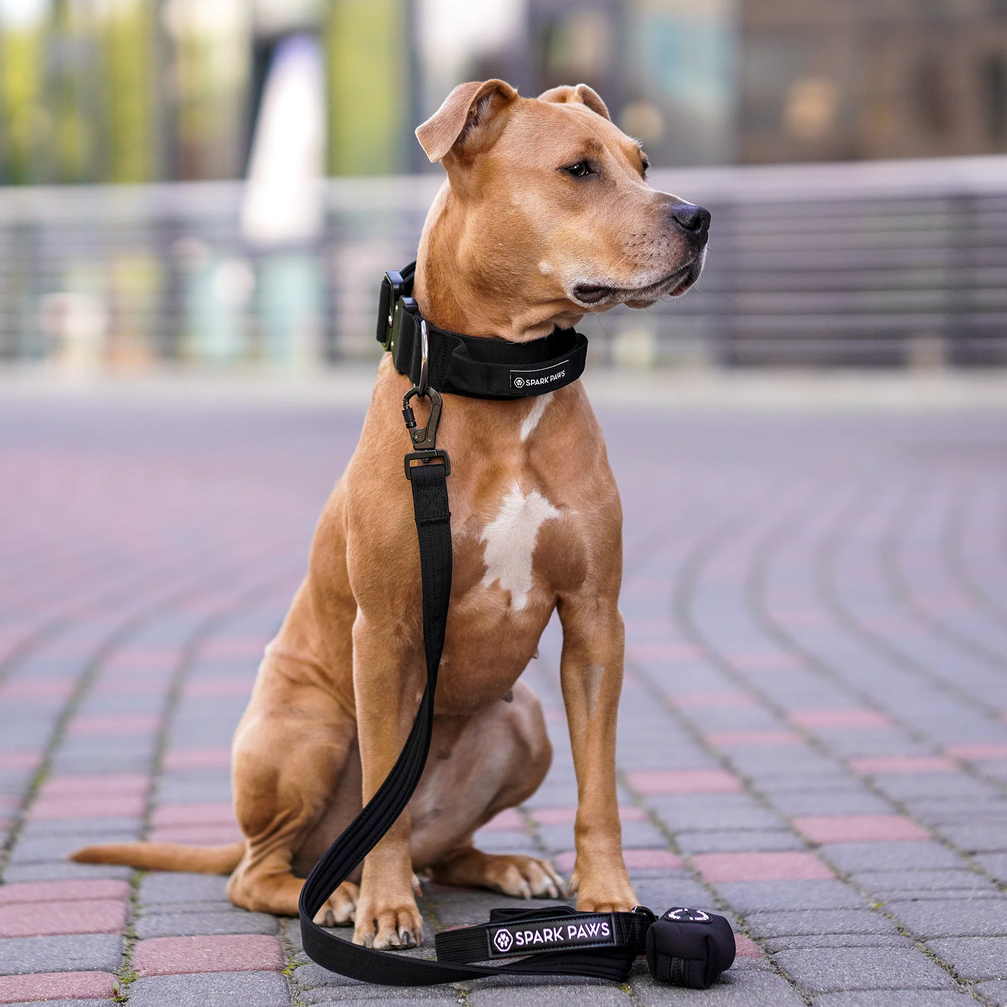 Comfort Control Dog Collar Sets - Image 28