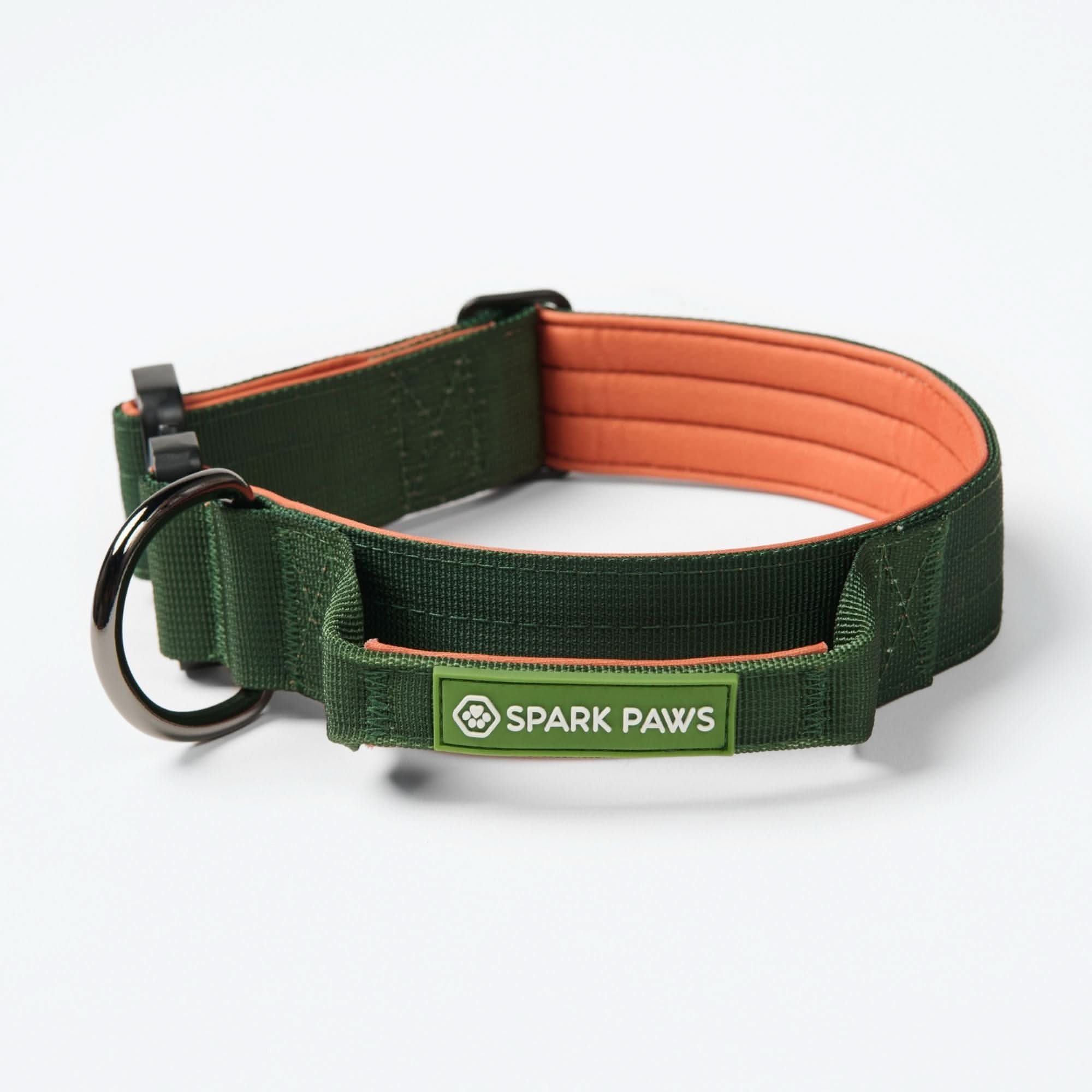Comfort Control Dog Collar Sets - Image 72